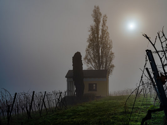 Herbstnebel bei Maikammer