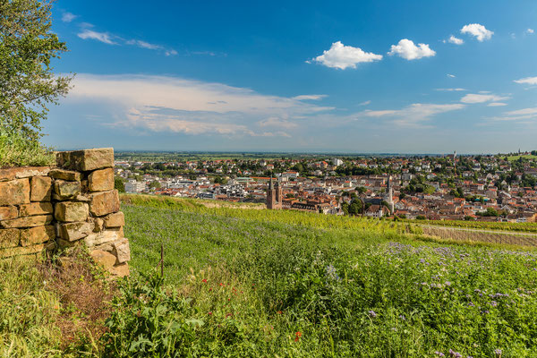Sommer über Neustadt, 60 x 40 cm, Alu-Dibond, Rückseitige Hängung mit Auminiumschiene, 130 €