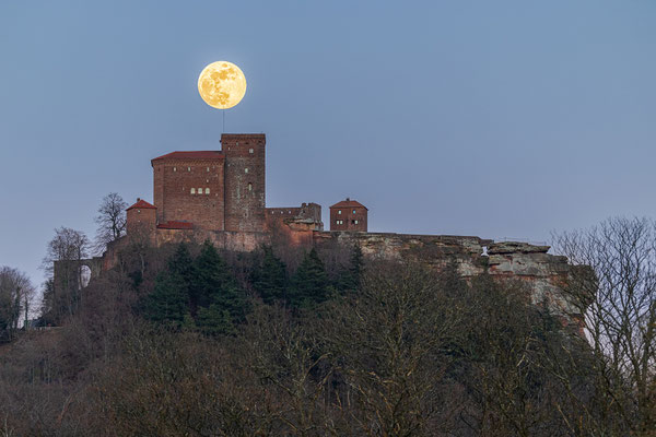 Vollmondaufgang hinter der Burg Trifels