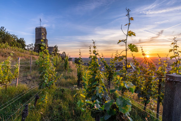 Sonnenaufgang an der Wachtenburg