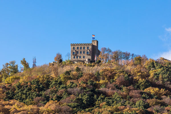Herbst am Hambacher Schloss