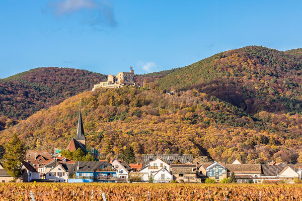 Herbst am Hambacher Schloss