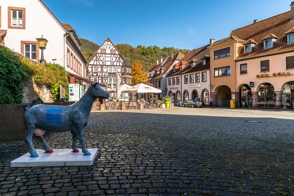Auf dem Annweilerer Marktplatz