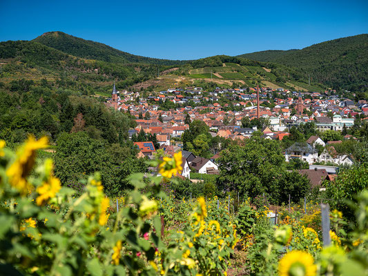 Blick auf Albersweiler