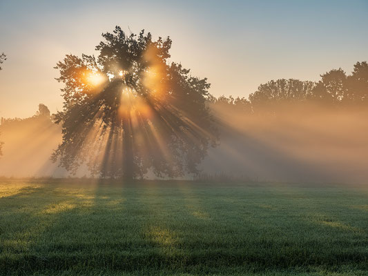 Sonnenaufgang über Geinsheims Wiesen