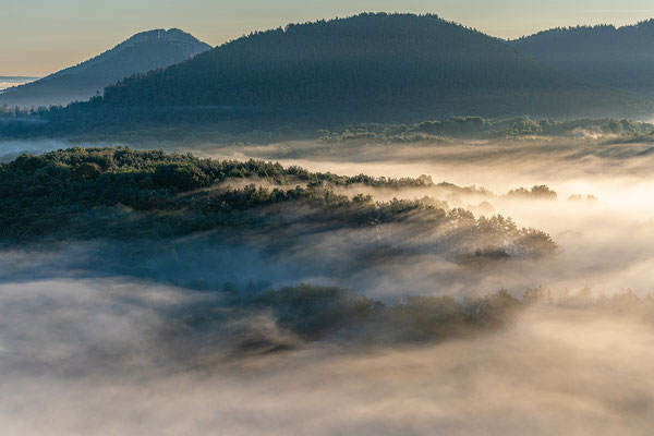 Nebelmorgen an den Geiersteinen
