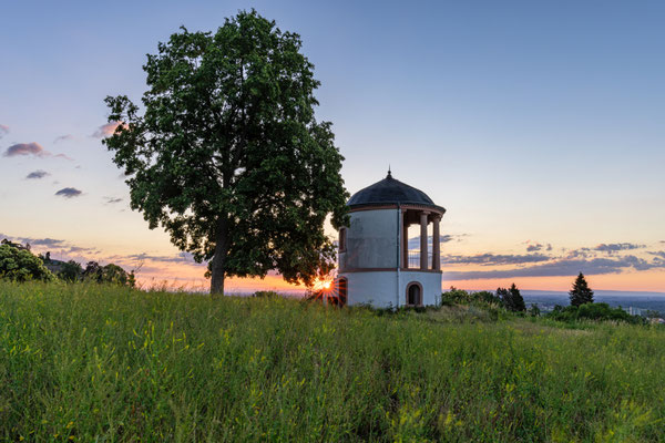 Sonnenaufgang am Deidesheimer Tempel