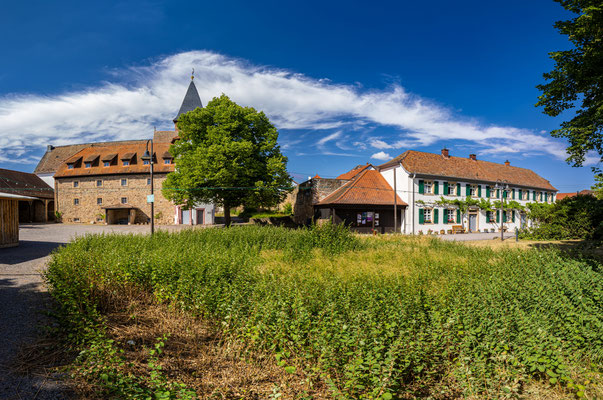 Herrenhof in Mussbach