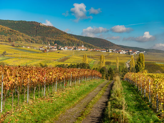 Herbstlandschaft bei Weyher