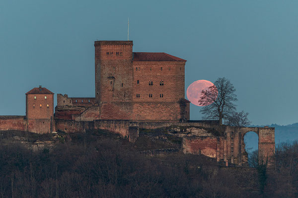 Vollmonduntergang hinter der Burg Trifels