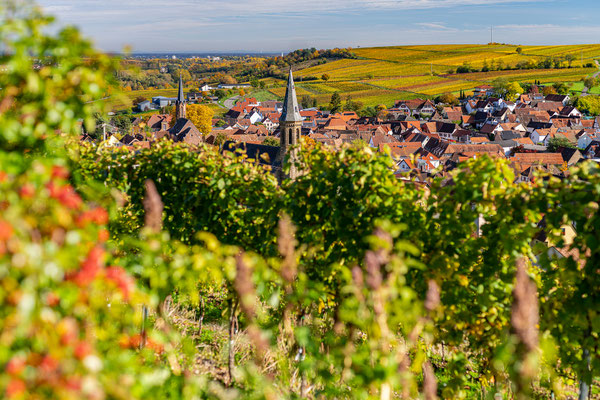 Herbstblicke bei Birkweiler