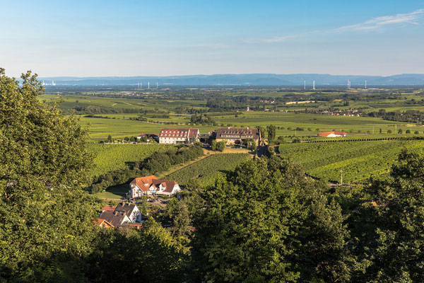 Blick auf den Leinsweiler Hof und den Schwarzwald