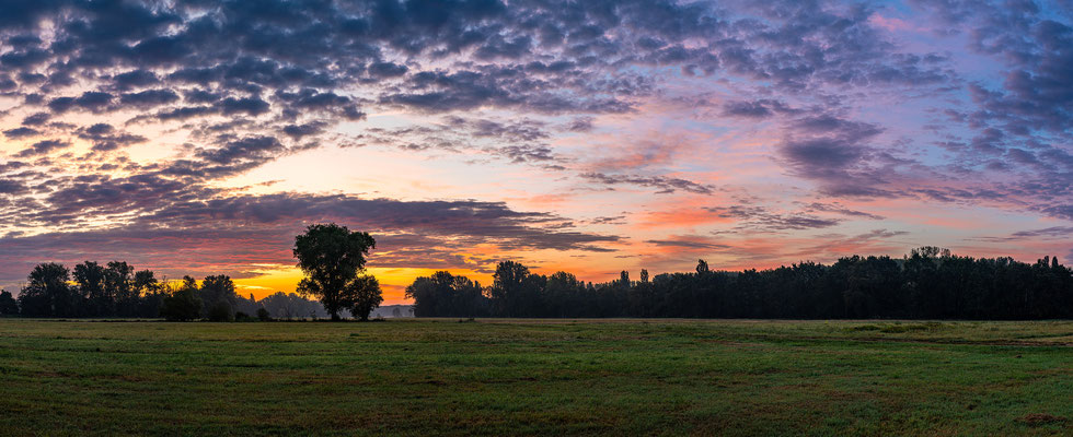 Sonnenaufgang bei Geinsheim