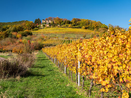 Goldener Herbst bei Sankt Martin