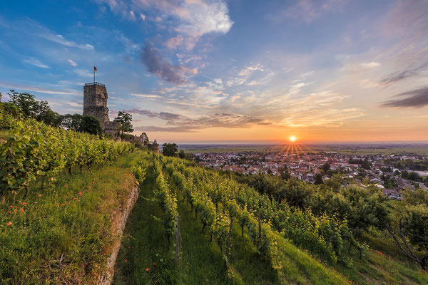 Sonnenaufgang auf der Wachtenburg