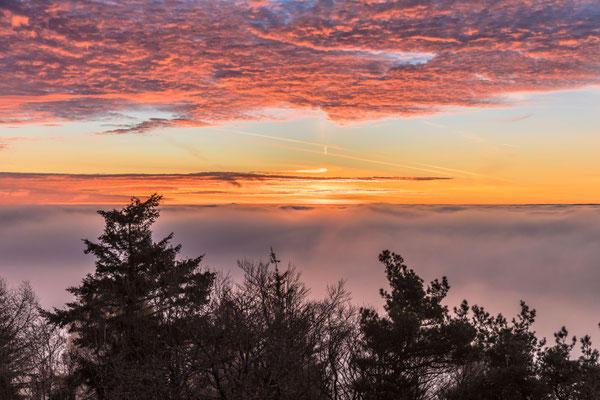 Sonnenaufgang am Rehbergturm