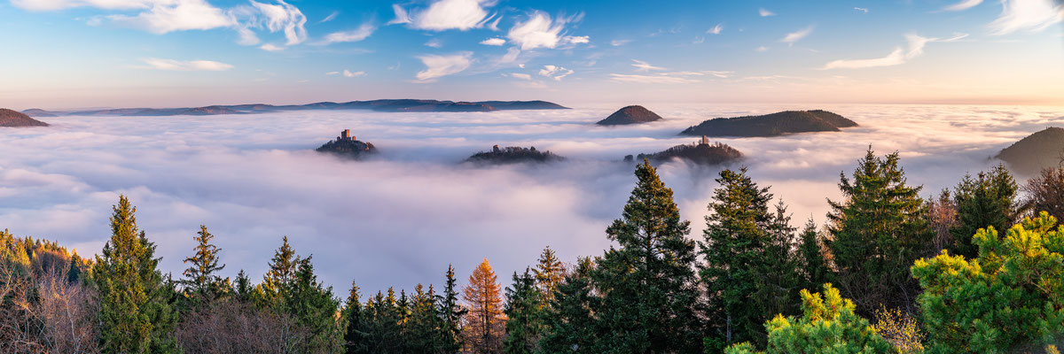 Nebelzauber im Pfälzerwald, 120 x 40 cm, Alu-Dibond, Rückseitige Hängung mit Aluminiumschiene, 280 €