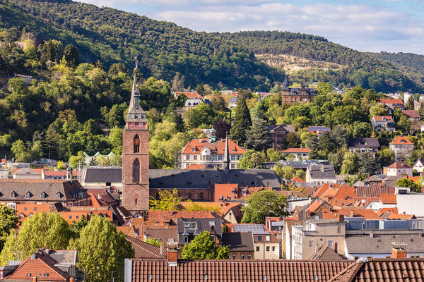 Aussichten auf Neustadt
