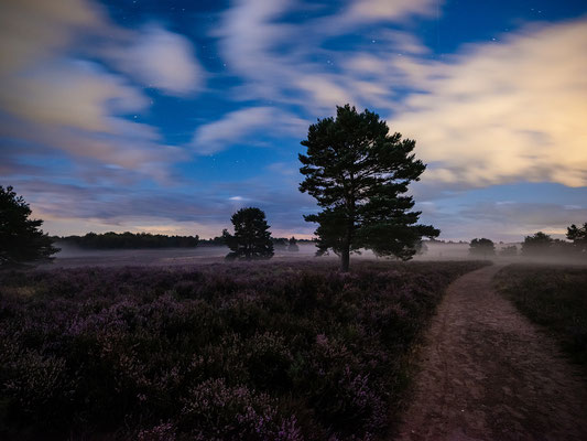 Nachts in der Mehlinger Heide