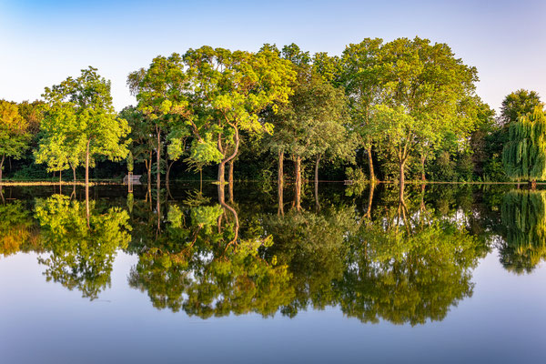 Hochwasser im Stadtpark Speyer