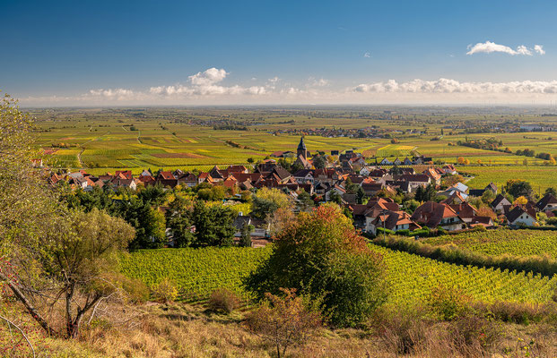 Herbstliche Landschaften bei Burrweiler