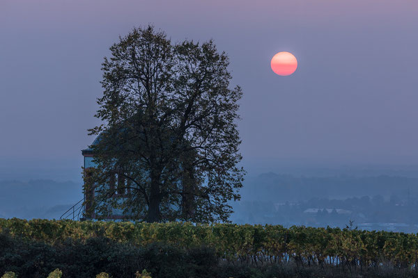 Sonnenaufgang am "Deidesheimer Tempel"