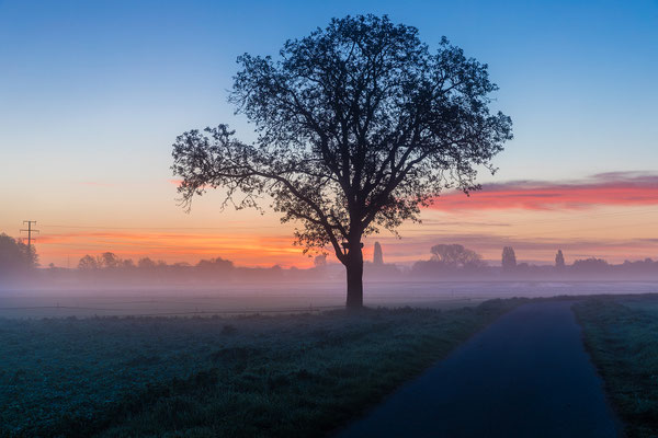 Morgenstimmung bei Freimersheim, Aluminium-Wechselrahmen, Fotodruck auf hochwertigem Hahnemühle-Papier mit Passepartout, 70 x 50 cm, 130 €