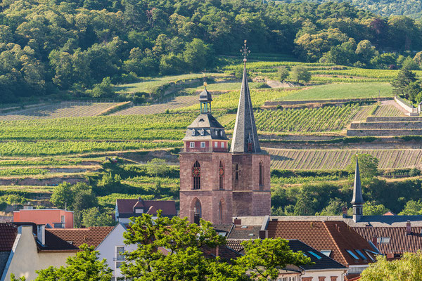 Stiftskirche Neustadt