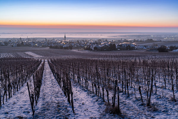 Wintermorgen bei Maikammer