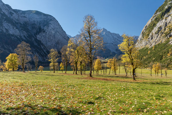 Herbststimmung am Ahornboden