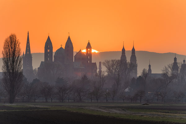 Sonnenuntergang hinter dem Speyerer Dom
