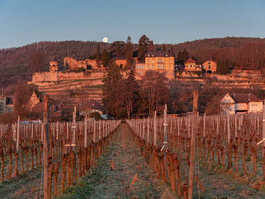 Monduntergang hinter dem Haardter Schloss
