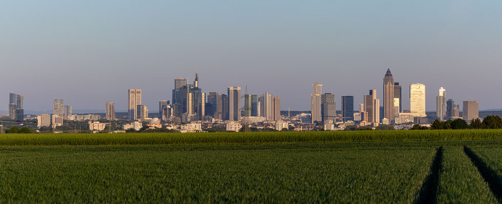 Skyline Frankfurt