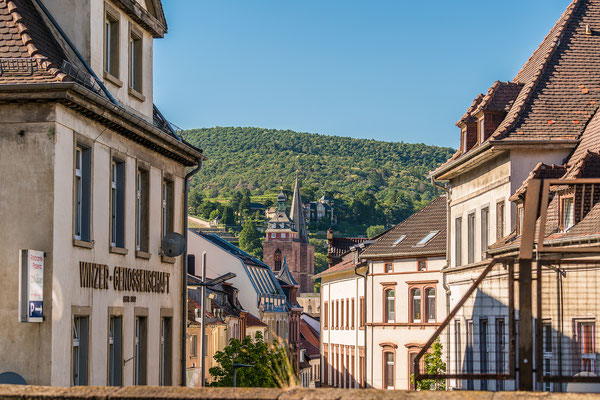 Stiftskirche Neustadt
