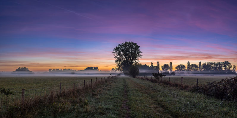 Herbstmorgen bei Edenkoben