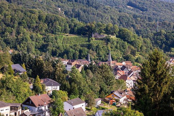 Blick über Wolfstein