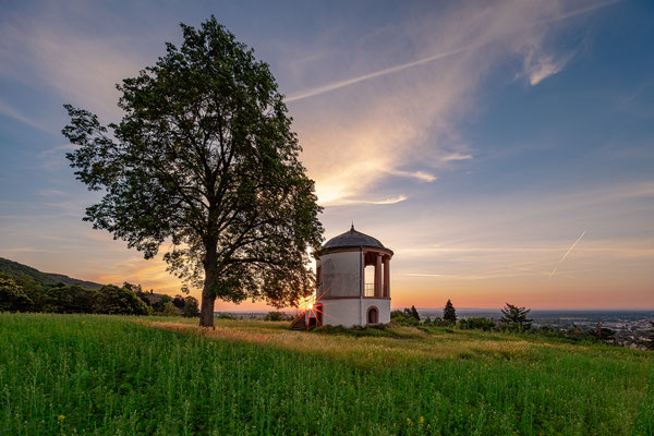 Sommermorgen über Neustadt