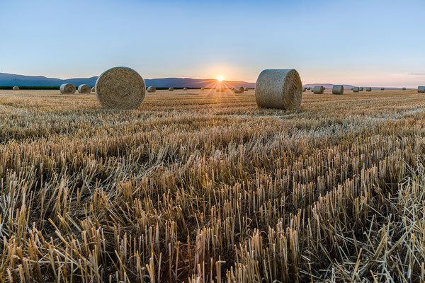 Sonnenuntergang mit Strohballen bei Hassloch