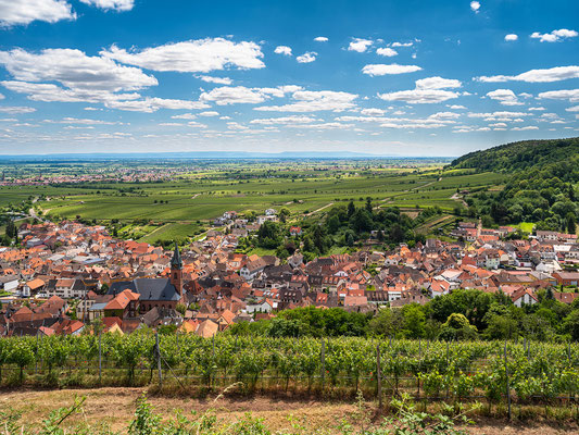 Aussicht auf Sankt Martin und die Rheinebene