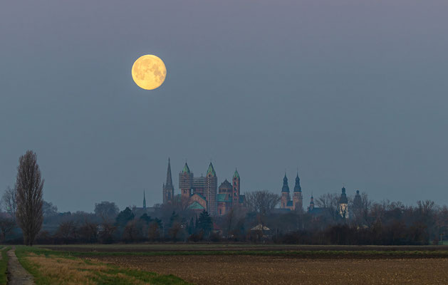 Vollmonduntergang hinter den Speyerer Kirchen