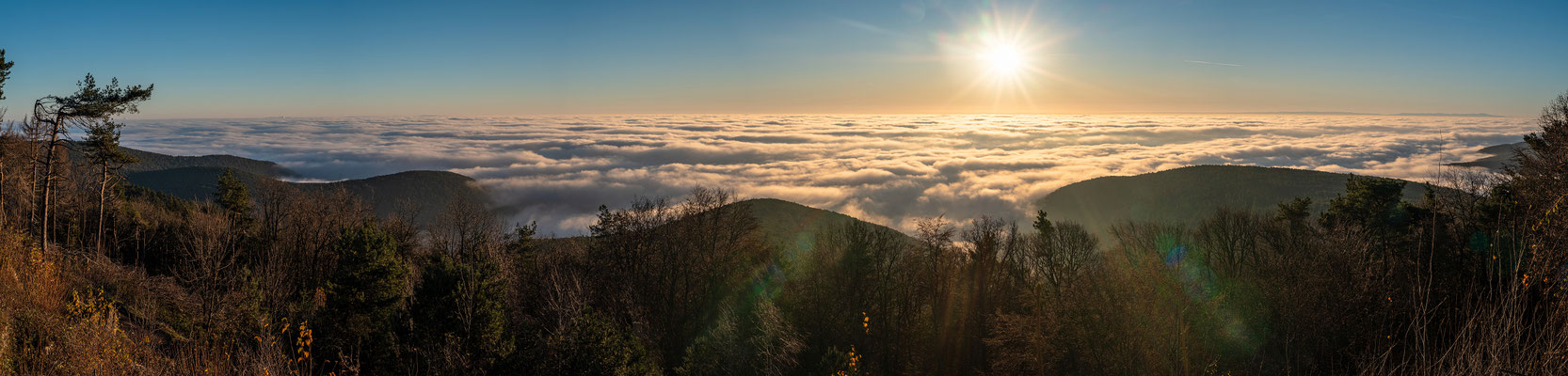 Nebelmorgen auf der Kalmit