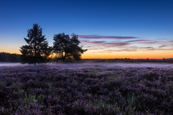 Mehlinger Heide