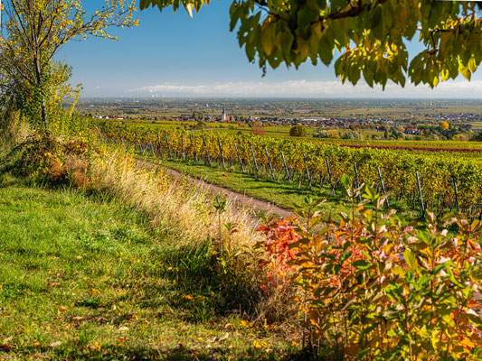 Herbstliche Landschaften bei Sankt Martin