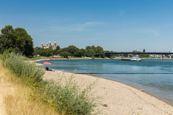 Rheinstrand und Speyerer Dom