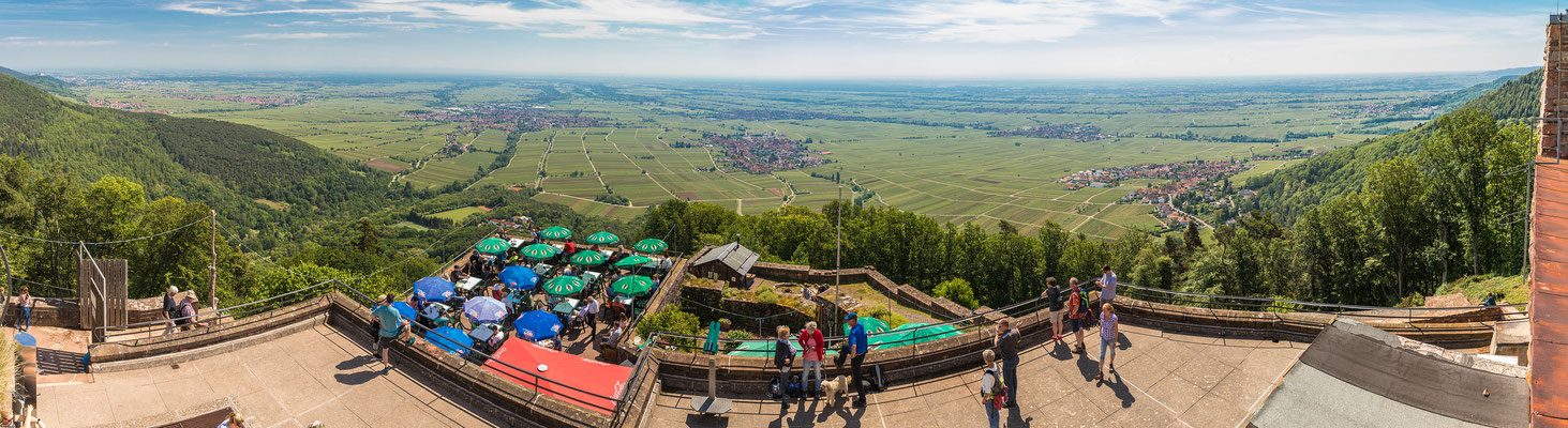 Ausssicht von der Rietburg in die Rheinebene