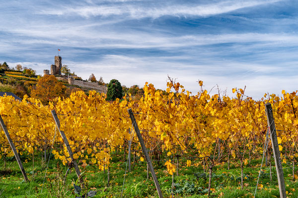 Herbstliche Wachtenburg
