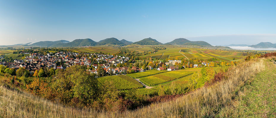 Goldener Herbst auf der Kleinen Kalmit