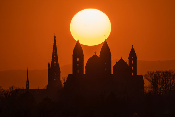 Sonnenuntergang hinter dem Speyerer Dom
