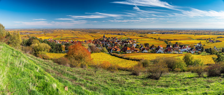 Goldener Herbst bei Burrweiler