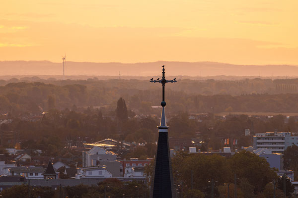 Sonnenaufgang über Neustadt